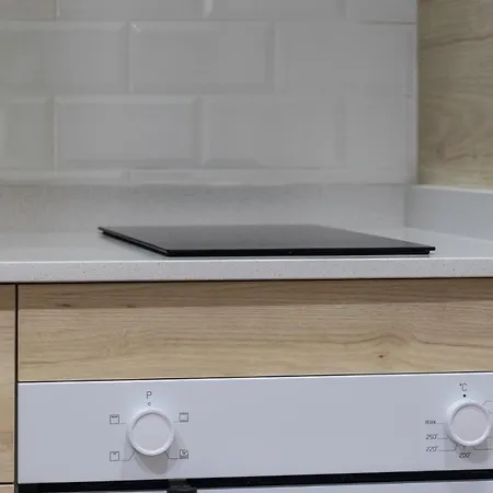 Daire Junto Al Guggenheim Con Parking Gratuito Bilbao